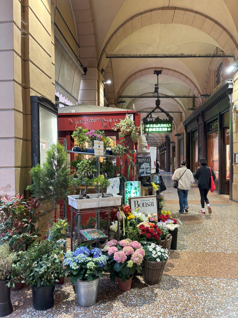 Bilge, Şişman, Kırmızı:&nbsp;Bolonya